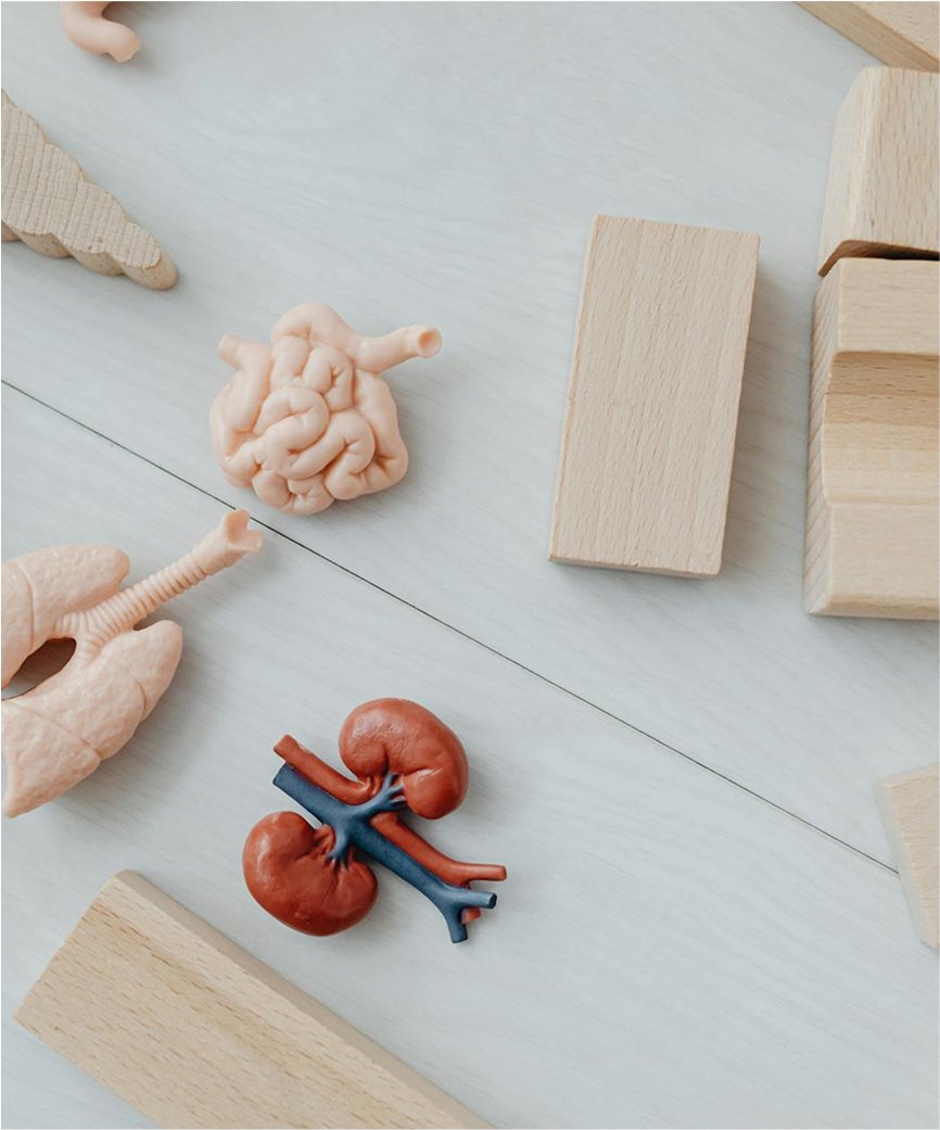 Traditional Healthcare